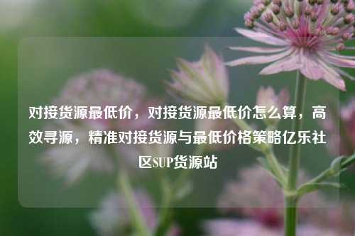 对接货源最低价，对接货源最低价怎么算	，高效寻源，精准对接货源与最低价格策略亿乐社区SUP货源站  第1张