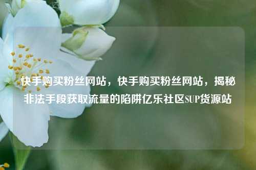 快手购买粉丝网站，快手购买粉丝网站	，揭秘非法手段获取流量的陷阱亿乐社区SUP货源站  第1张