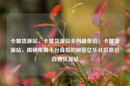 卡盟货源站，卡盟货源站全网最低价	，卡盟货源站，揭秘电商平台背后的秘密亿乐社区低价自营货源站  第1张