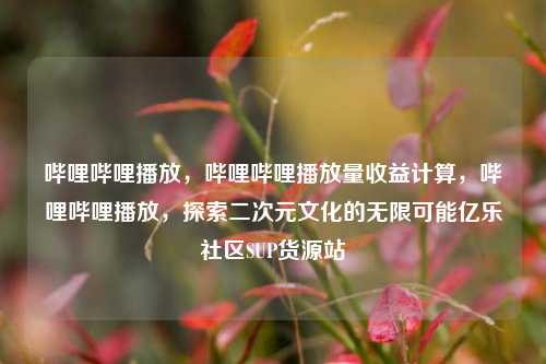 哔哩哔哩播放，哔哩哔哩播放量收益计算，哔哩哔哩播放，探索二次元文化的无限可能亿乐社区SUP货源站  第1张