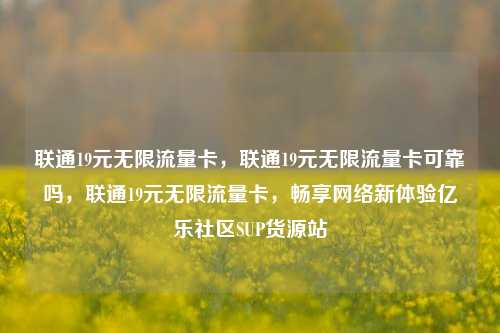 联通19元无限流量卡	，联通19元无限流量卡可靠吗，联通19元无限流量卡，畅享网络新体验亿乐社区SUP货源站  第1张