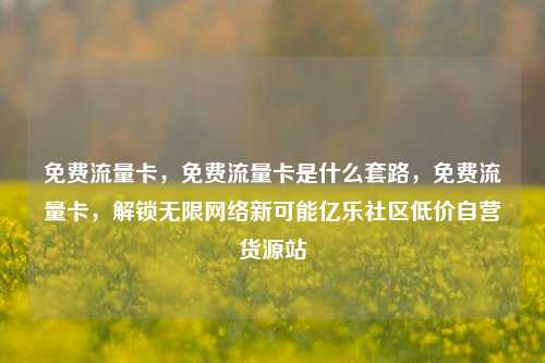 免费流量卡	，免费流量卡是什么套路，免费流量卡，解锁无限网络新可能亿乐社区低价自营货源站  第1张