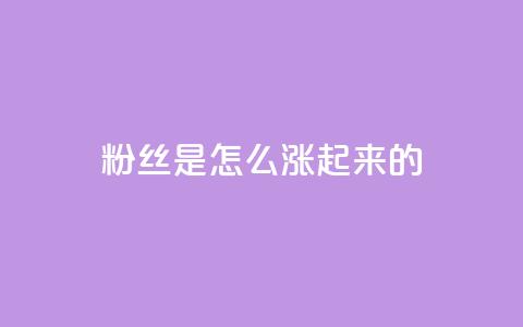 粉丝是怎么涨起来的,qq空间点赞自助 - qq空间说说刷转发数量 qq自助平台全网最低  第1张