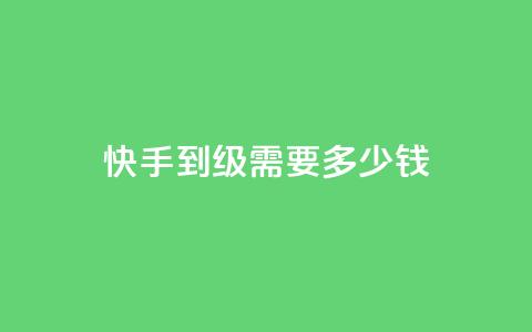 快手1到45级需要多少钱,QQ代点赞的软件 - 快手推广引流网站链接 粉丝业务  第1张