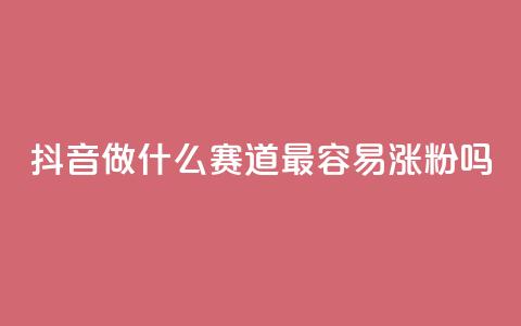 抖音做什么赛道最容易涨粉吗,抖音粉丝增加助手 - qq号批发1元一个可改密  第1张