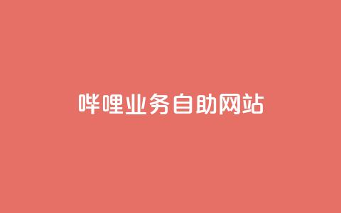 哔哩业务自助网站 - 哔哩自助网站：助力业务快人一步~  第1张