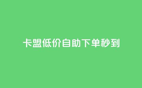 卡盟低价自助下单秒到 - 极速到账！卡盟低价自主下单等您来！~  第1张