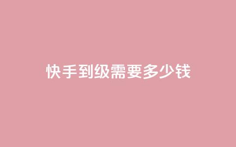 快手1到45级需要多少钱,qq空间访问10人怎么弄 - qq自助下单服务平台 快手推广消耗数据里花费金额  第1张
