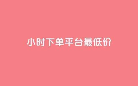 24小时下单平台最低价 - 24小时内订购 最优惠价格 平台~  第1张