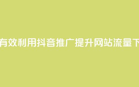 如何有效利用抖音推广提升网站流量  第1张