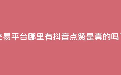 粉丝交易平台哪里有 - 抖音点赞app是真的吗  第1张
