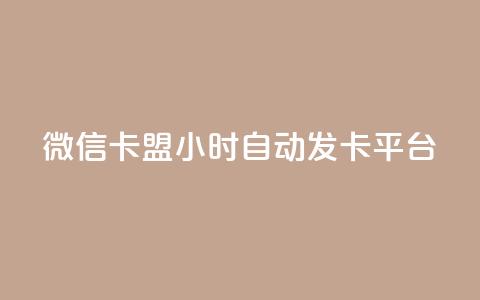 微信卡盟24小时自动发卡平台 - 最佳SEO实践:全天候自动发卡平台,微信卡盟买卡24小时服务~ 第1张 微信卡盟24小时自动发卡平台 - 最佳SEO实践:全天候自动发卡平台,微信卡盟买卡24小时服务~ 第1张