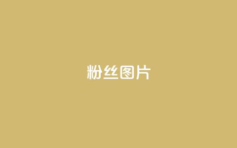 粉丝图片,快手一个作品1000赞 - qq访客每天免费获取软件 ks直播平台正规吗  第1张