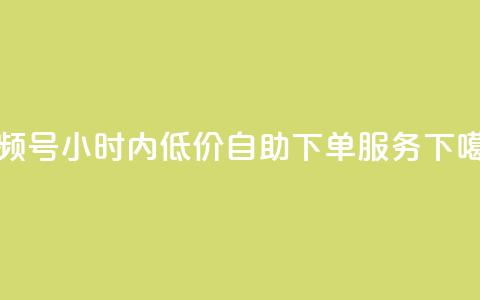 视频号24小时内低价自助下单服务  第1张