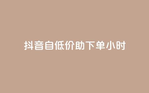 抖音自低价助下单24小时,抖音自动评论软件手机版 - 卡盟平台qq业务qq音乐会员 抖音怎样快速吸粉  第1张