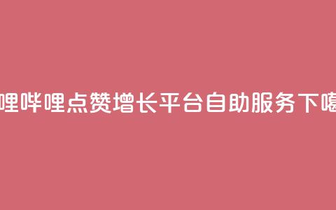 哔哩哔哩点赞增长平台自助服务  第1张