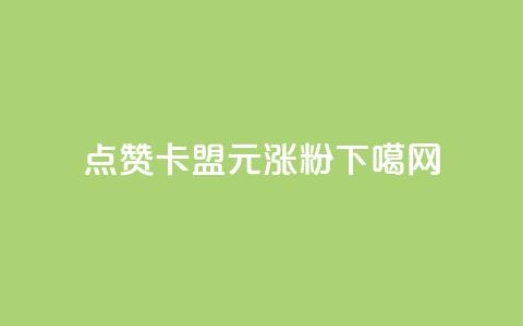 QQ点赞卡盟 - 1元涨100粉  第1张