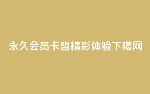 永久QQ会员卡盟，精彩体验！  第1张
