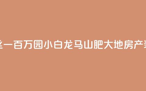 快手粉丝一百万0.01园小白龙马山肥大地房产装修网站,快手买热度网站 - 0.01元,小白龙马山有限责任公司 刷钻卡盟网站官方入口 抖音快手点赞粉丝的网站  第1张