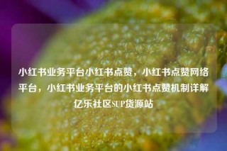 小红书业务平台小红书点赞，小红书点赞网络平台，小红书业务平台的小红书点赞机制详解亿乐社区SUP货源站