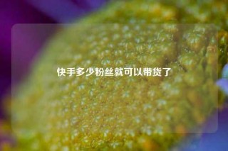 快手多少粉丝就可以带货了