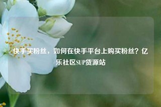 快手买粉丝，如何在快手平台上购买粉丝？亿乐社区SUP货源站