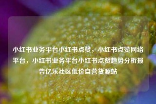小红书业务平台小红书点赞，小红书点赞网络平台，小红书业务平台小红书点赞趋势分析报告亿乐社区低价自营货源站