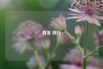 直客 同行