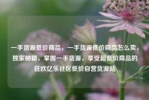 一手货源低价商品，一手货源低价商品怎么卖，独家秘籍，掌握一手货源，享受超低价商品的狂欢亿乐社区低价自营货源站