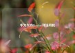 华为发布FreeArc耳挂耳机
