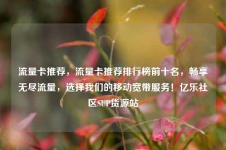 流量卡推荐，流量卡推荐排行榜前十名，畅享无尽流量，选择我们的移动宽带服务！亿乐社区SUP货源站
