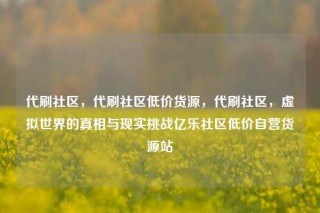 代刷社区，代刷社区低价货源，代刷社区，虚拟世界的真相与现实挑战亿乐社区低价自营货源站