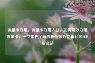 流量卡办理，流量卡办理入口，如何高效办理流量卡，一文带你了解流程与技巧亿乐社区SUP货源站