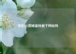 彩虹云商城源码是个网站吗