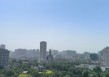 43.2℃！河南林州打破全省5月最高温纪录，明后天高温将持续