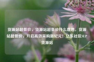 货源站超低价，货源站超低价什么意思，货源站超低价，开启高效采购新纪元！亿乐社区SUP货源站