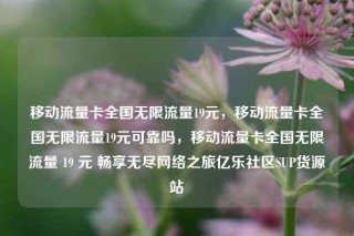 移动流量卡全国无限流量19元，移动流量卡全国无限流量19元可靠吗，移动流量卡全国无限流量 19 元 畅享无尽网络之旅亿乐社区SUP货源站