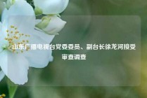 山东广播电视台党委委员、副台长徐龙河接受审查调查