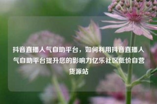 抖音直播人气自助平台，如何利用抖音直播人气自助平台提升您的影响力亿乐社区低价自营货源站