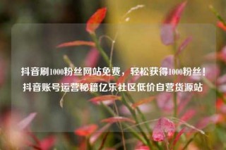 抖音刷1000粉丝网站免费，轻松获得1000粉丝！抖音账号运营秘籍亿乐社区低价自营货源站