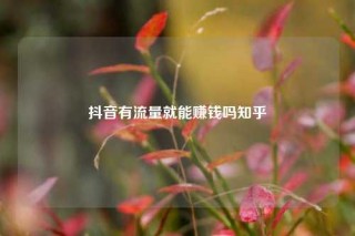 抖音有流量就能赚钱吗知乎