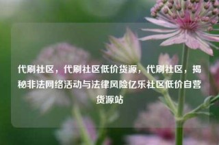 代刷社区，代刷社区低价货源，代刷社区，揭秘非法网络活动与法律风险亿乐社区低价自营货源站