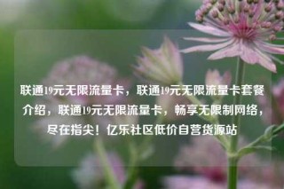 联通19元无限流量卡，联通19元无限流量卡套餐介绍，联通19元无限流量卡，畅享无限制网络，尽在指尖！亿乐社区低价自营货源站