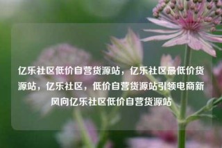 亿乐社区低价自营货源站，亿乐社区最低价货源站，亿乐社区，低价自营货源站引领电商新风向亿乐社区低价自营货源站