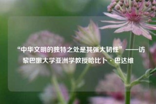 “中华文明的独特之处是其强大韧性”——访黎巴嫩大学亚洲学教授哈比卜·巴达维