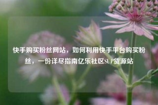 快手购买粉丝网站，如何利用快手平台购买粉丝，一份详尽指南亿乐社区SUP货源站