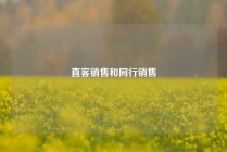 直客销售和同行销售