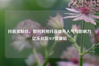 抖音买粉丝，如何利用抖音提升人气与影响力亿乐社区SUP货源站