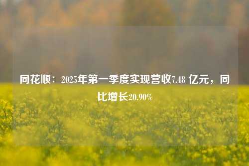 同花顺：2025年第一季度实现营收7.48 亿元，同比增长20.90%  第1张