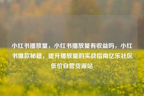 小红书播放量，小红书播放量有收益吗，小红书爆款秘籍，提升播放量的实战指南亿乐社区低价自营货源站  第1张